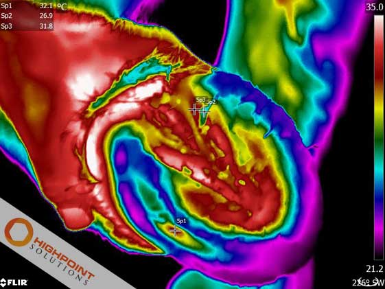 Equine Thermography